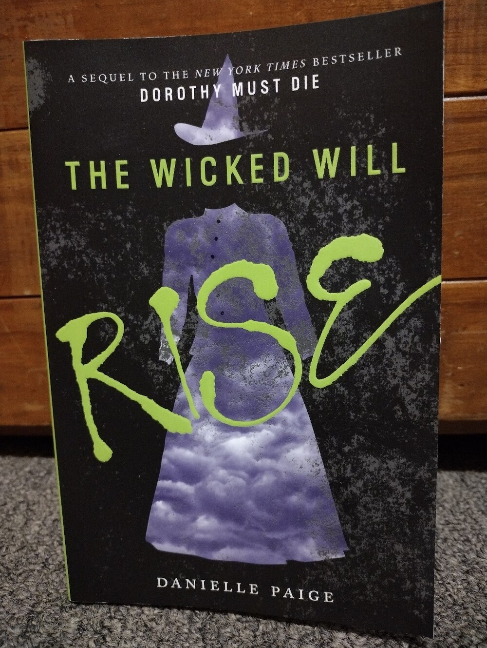 The Wicked Will Rise Book By Danielle Paige